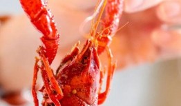 厦门龙虾爆料事件视频最新